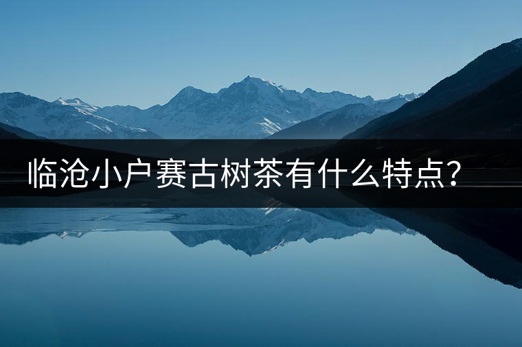 臨滄小戶賽古樹茶有什么特點(diǎn)？因何被稱為“賽冰島”？