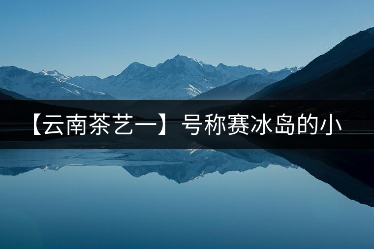 【云南茶藝一】號稱賽冰島的小戶賽憑什么！今天帶大家一起研究下