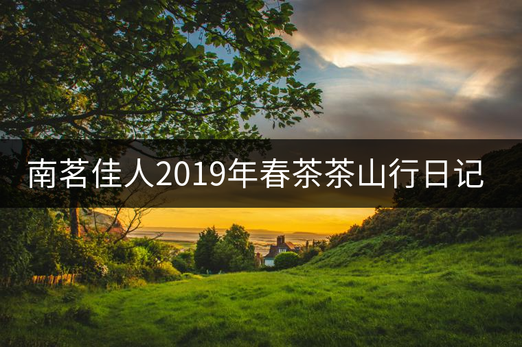 南茗佳人2019年春茶茶山行日記17:小戶賽，賽冰島!南茗佳人2019年春茶茶山行日記17：小戶賽，賽冰島！