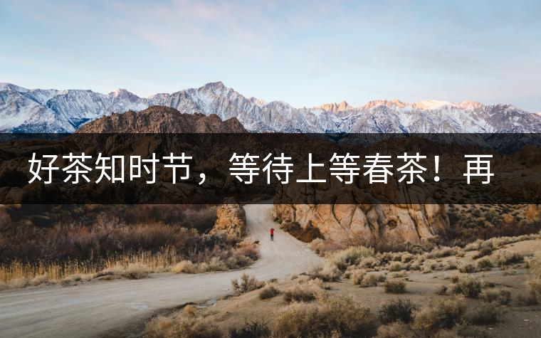 好茶知時(shí)節(jié)，等待上等春茶！再來回味這些年喝過的小戶賽古樹春茶