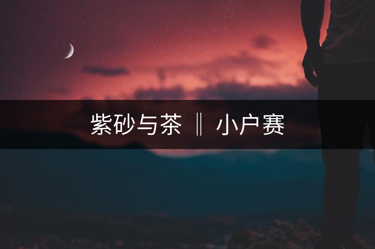 紫砂與茶 ‖ 小戶(hù)賽 紫砂與茶 ‖ 小戶(hù)賽