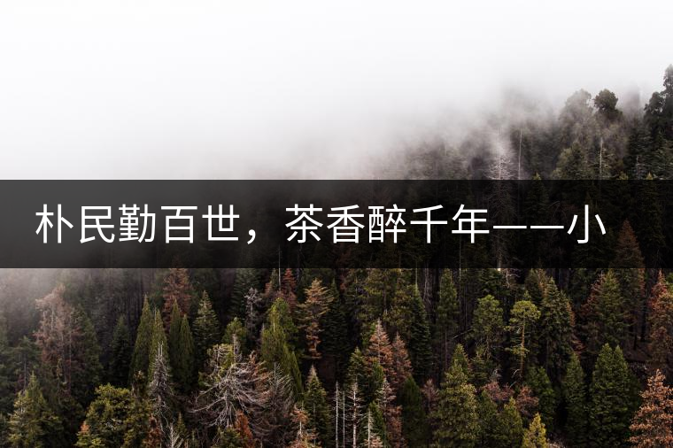 樸民勤百世，茶香醉千年——小戶賽古寨