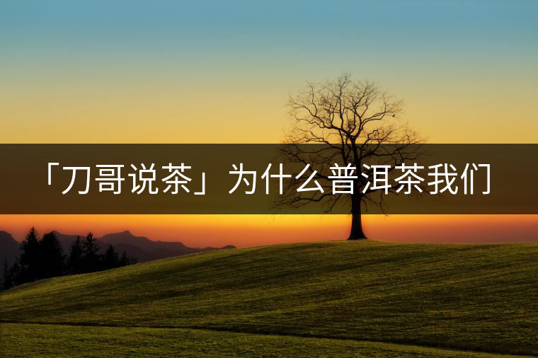 「刀哥說(shuō)茶」為什么普洱茶我們情愿選三無(wú)？