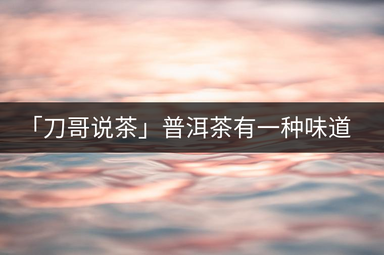 「刀哥說茶」普洱茶有一種味道，只可意會不可言傳