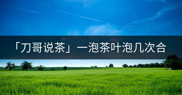 「刀哥說茶」一泡茶葉泡幾次合適?「刀哥說茶」一泡茶葉泡幾次合適？