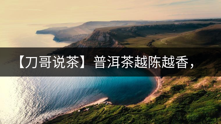 【刀哥說(shuō)茶】普洱茶越陳越香，為什么新茶更受歡迎？