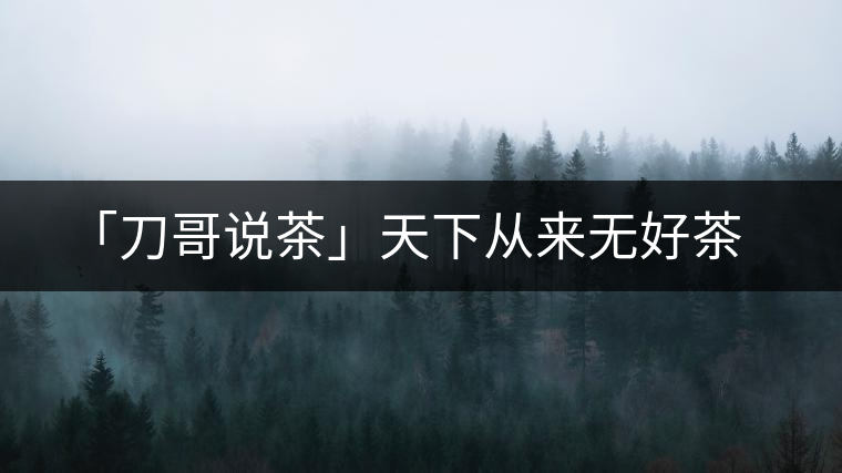 「刀哥說(shuō)茶」天下從來(lái)無(wú)好茶