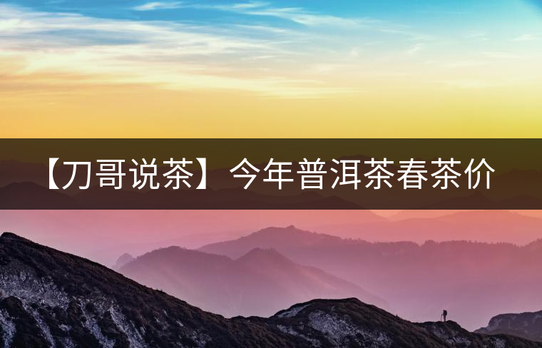 【刀哥說茶】今年普洱茶春茶價格，我不預測