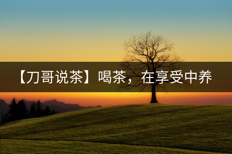 【刀哥說茶】喝茶，在享受中養(yǎng)生的最佳選擇