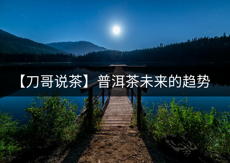 【刀哥說茶】普洱茶未來的趨勢，我看好熟茶