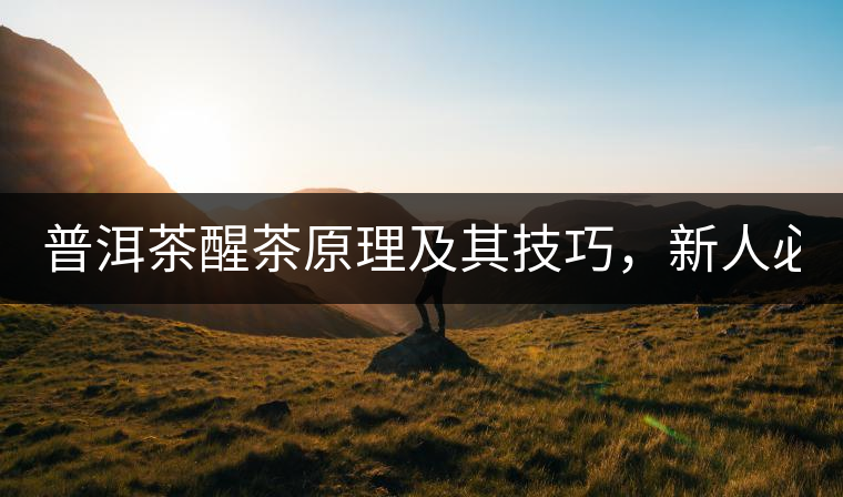普洱茶醒茶原理及其技巧，新人必備！