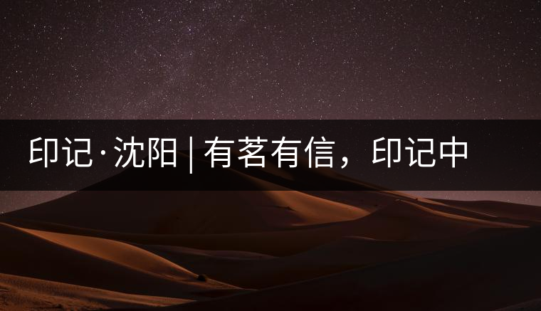印記·沈陽 | 有茗有信，印記中茶，中茶普洱亮相沈陽茶博會