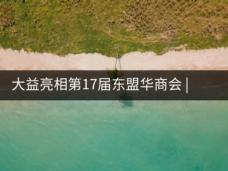 大益亮相第17屆東盟華商會(huì) | 海內(nèi)外嘉賓共謀發(fā)展，共品大益茶