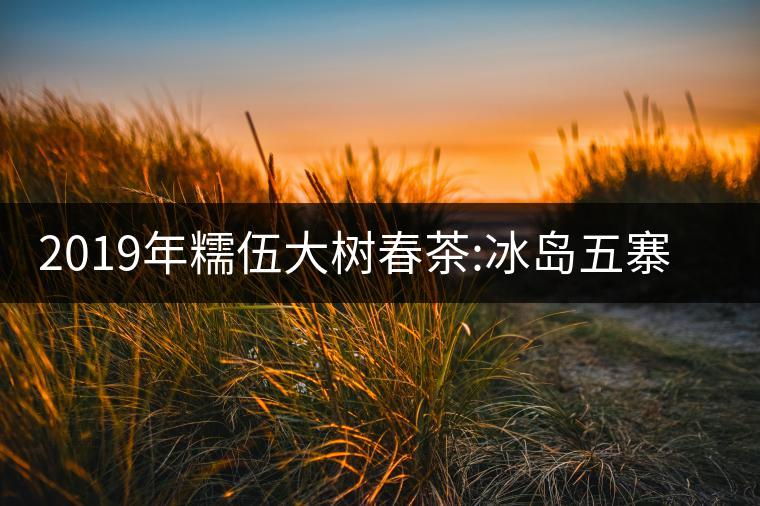 2019年糯伍大樹春茶:冰島五寨甜柔口感的代表，售價(jià)不...2019年糯伍大樹春茶：冰島五寨甜柔口感的代表，售價(jià)不到500