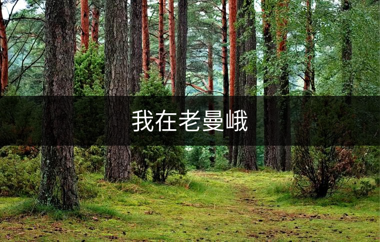 我在老曼峨 我在老曼峨