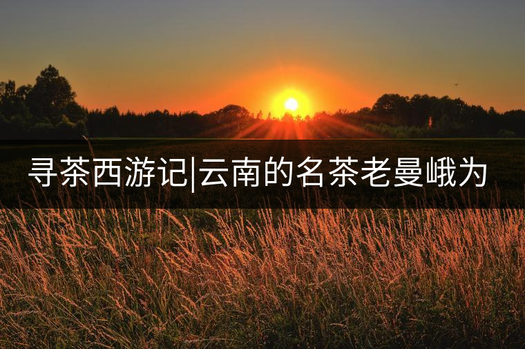 尋茶西游記|云南的名茶老曼峨為什么這么多人愛(ài)，這里...尋茶西游記｜云南的名茶老曼峨為什么這么多人愛(ài)，這里給你答案！