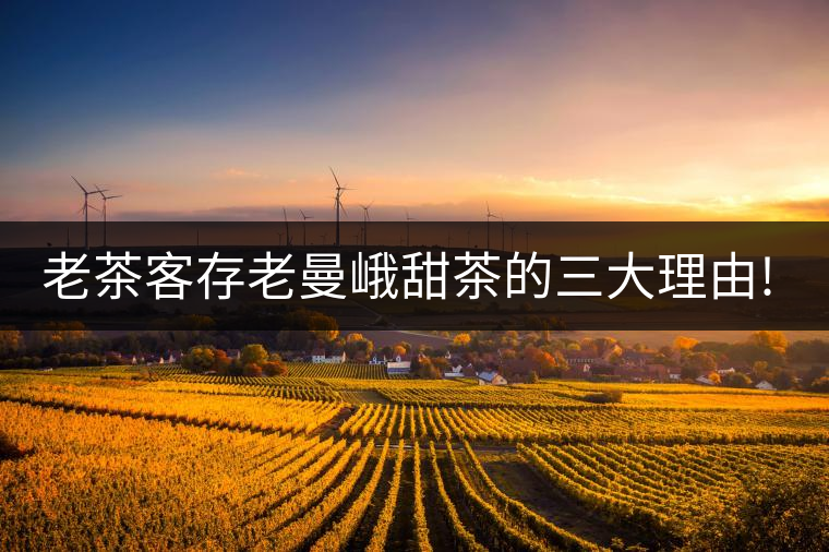老茶客存老曼峨甜茶的三大理由!老茶客存老曼峨甜茶的三大理由！