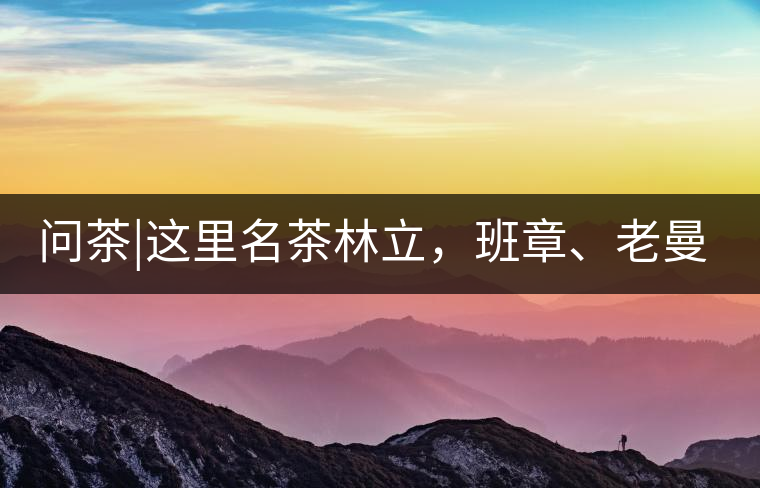 問茶|這里名茶林立，班章、老曼峨皆在其列!問茶｜這里名茶林立，班章、老曼峨皆在其列！