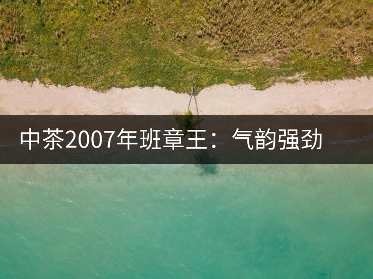 中茶2007年班章王：氣韻強(qiáng)勁，蜂蜜水般甜潤，一直被老茶客撿漏