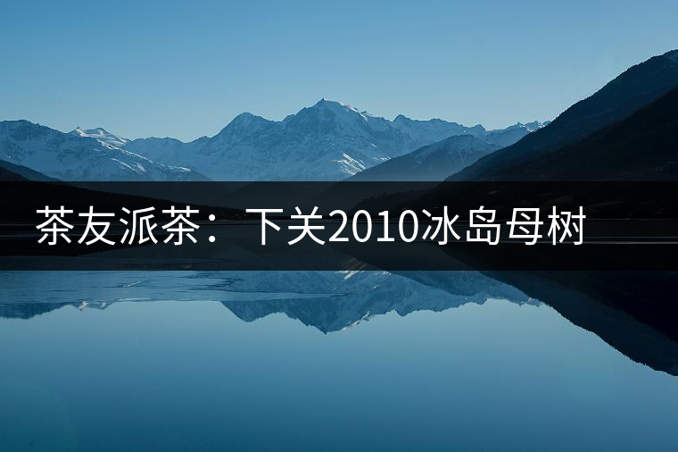 茶友派茶：下關2010冰島母樹，挺甜的，母樹是個什么概念？