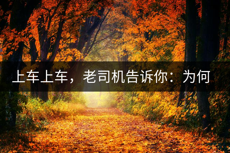 上車上車，老司機告訴你：為何明前茶貴如金