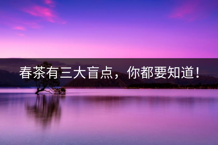 春茶有三大盲點，你都要知道！