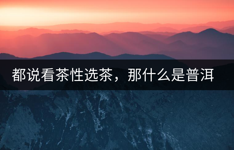 都說(shuō)看茶性選茶，那什么是普洱茶的“茶性”呢？