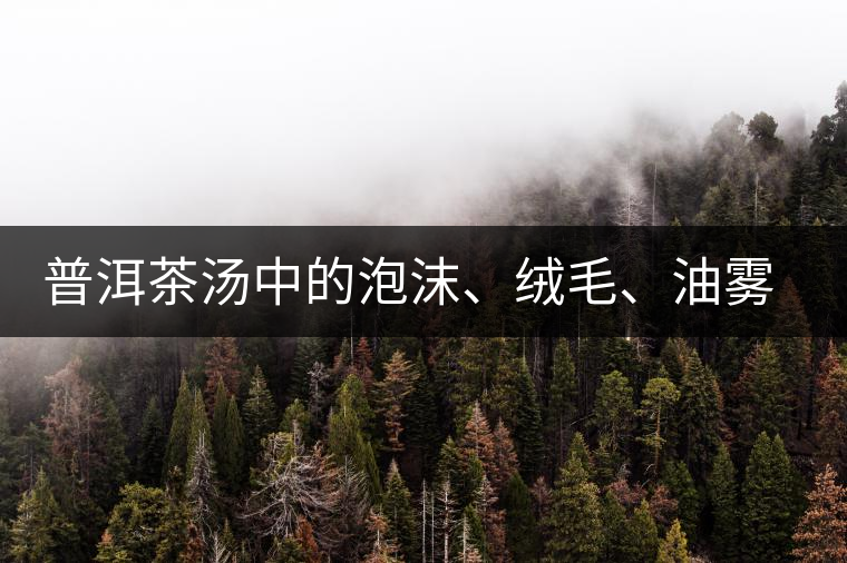 普洱茶湯中的泡沫、絨毛、油霧、絮狀物……原來是這些東西！