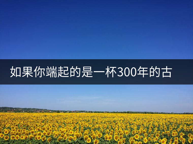 如果你端起的是一杯300年的古樹(shù)茶，那會(huì)是一種怎樣的心境？