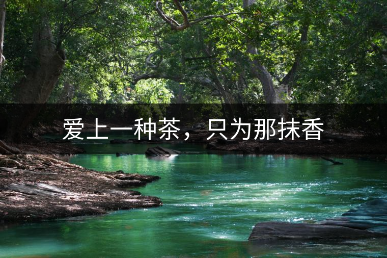 愛(ài)上一種茶，只為那抹香