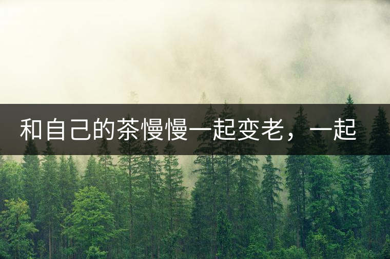 和自己的茶慢慢一起變老，一起變好