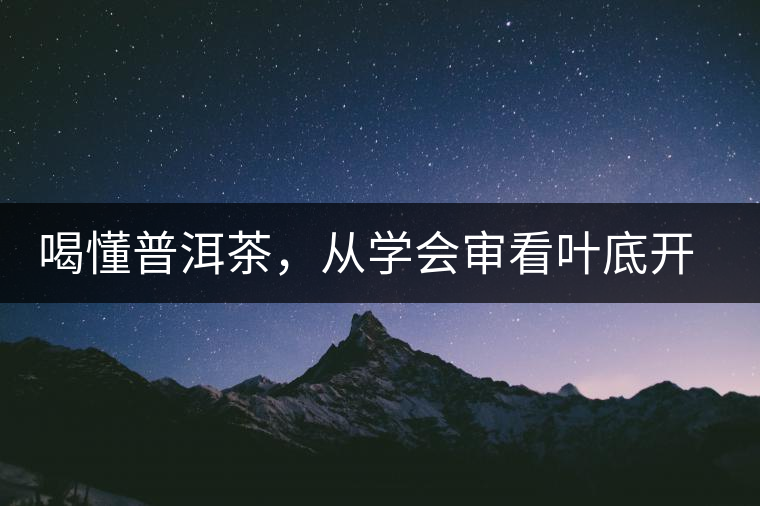 喝懂普洱茶，從學會審看葉底開始