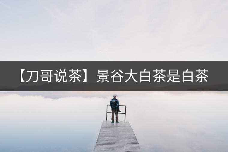 【刀哥說茶】景谷大白茶是白茶還是普洱茶？