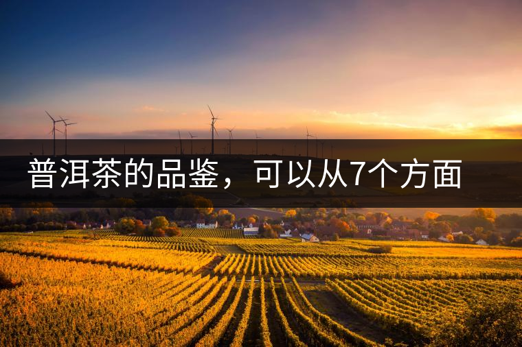 普洱茶的品鑒，可以從7個(gè)方面著手