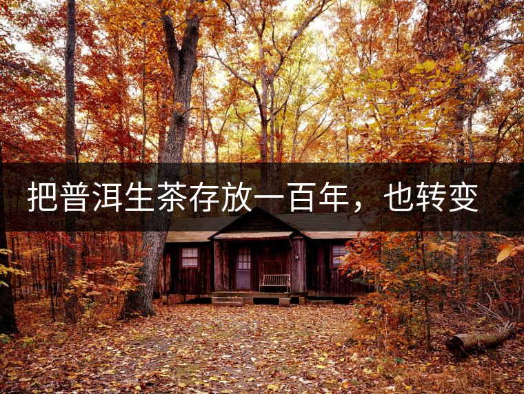 把普洱生茶存放一百年，也轉(zhuǎn)變不成熟茶