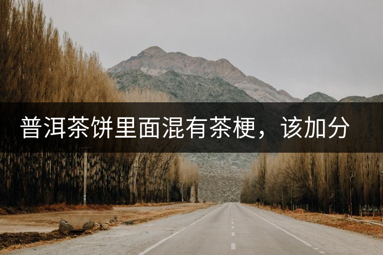 普洱茶餅里面混有茶梗，該加分還是減分？