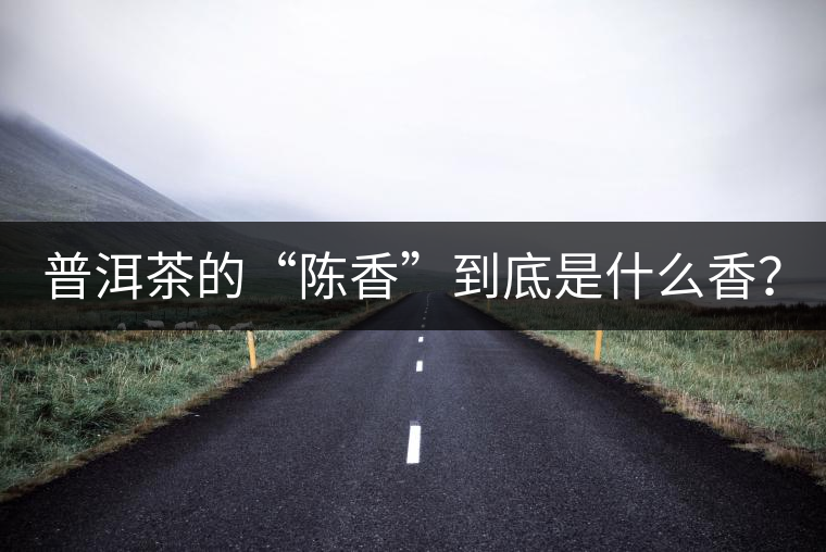 普洱茶的“陳香”到底是什么香？