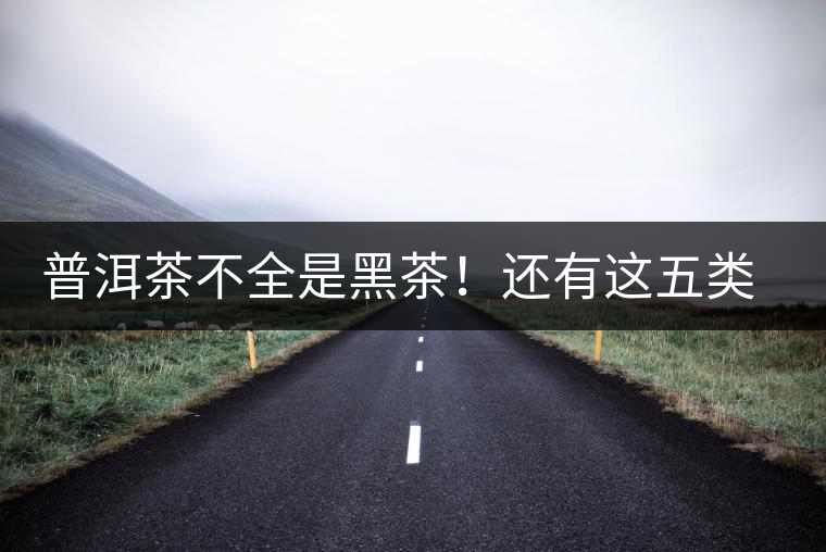 普洱茶不全是黑茶！還有這五類茶，現(xiàn)在知道還不算晚