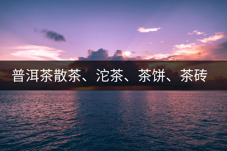 普洱茶散茶、沱茶、茶餅、茶磚哪種更好？