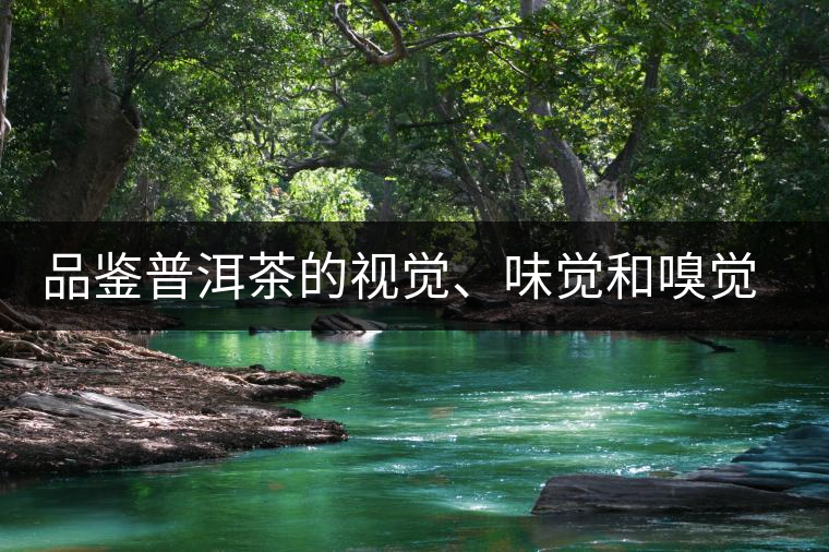 品鑒普洱茶的視覺、味覺和嗅覺指標(biāo)