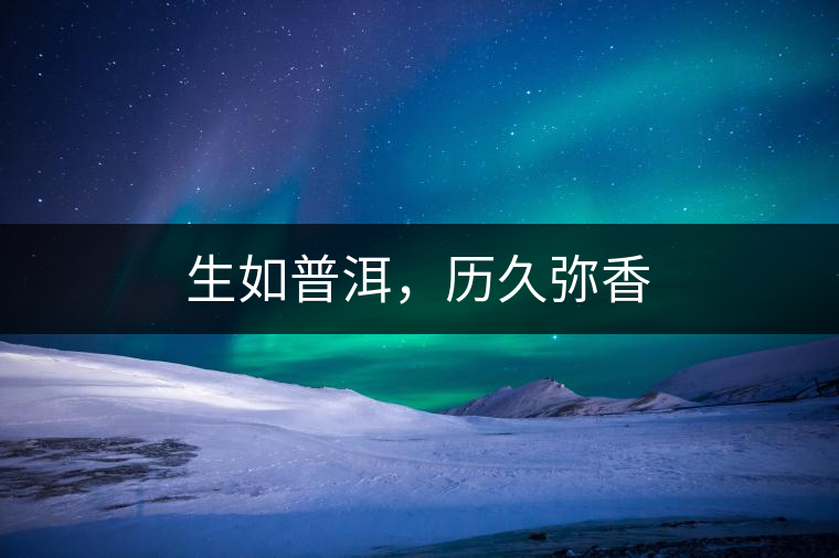 生如普洱，歷久彌香