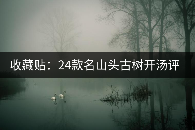 收藏貼：24款名山頭古樹開湯評(píng)測(cè)