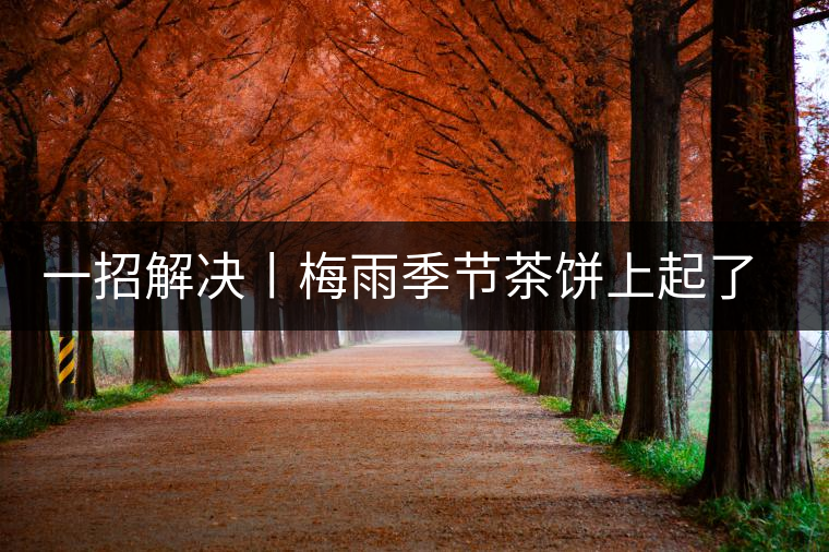 一招解決丨梅雨季節(jié)茶餅上起了白霜白點怎么辦? 一招解決丨梅雨季節(jié)茶餅上起了白霜白點怎么辦?