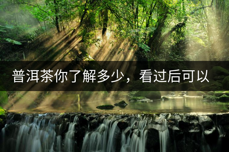 普洱茶你了解多少，看過后可以和友人論茶說道了