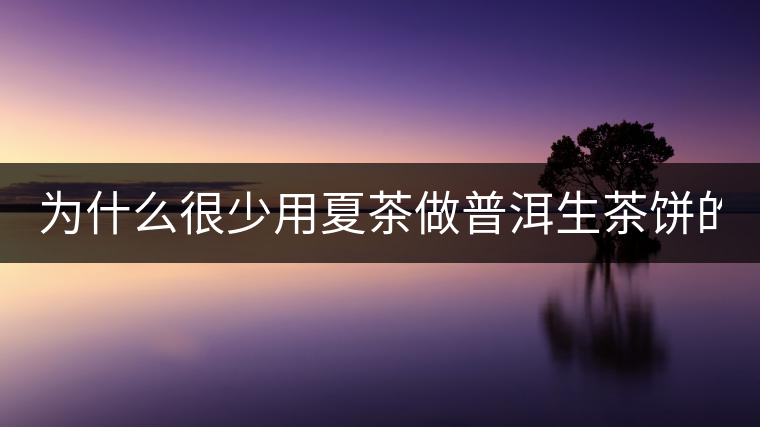 為什么很少用夏茶做普洱生茶餅的？