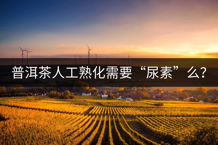 普洱茶人工熟化需要“尿素”么？