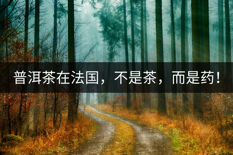 普洱茶在法國，不是茶，而是藥！