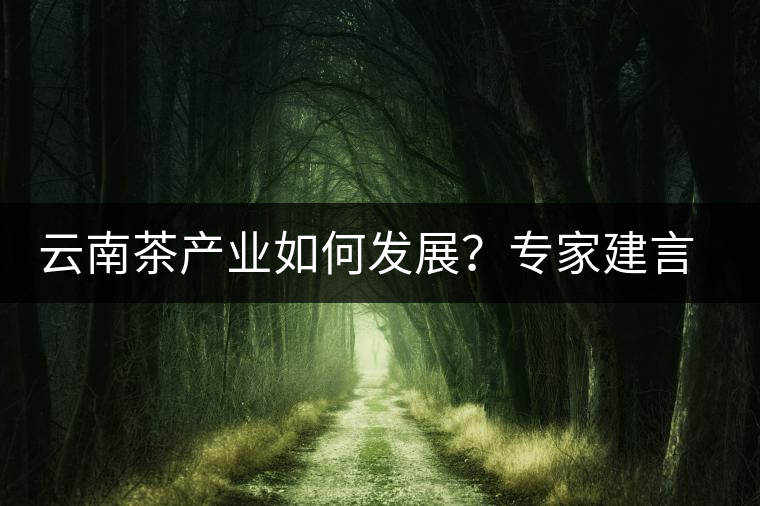 云南茶產(chǎn)業(yè)如何發(fā)展？專(zhuān)家建言：產(chǎn)業(yè)復(fù)興助脫貧