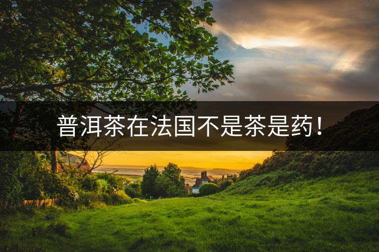 普洱茶在法國不是茶是藥！