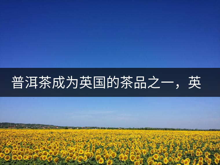 普洱茶成為英國的茶品之一，英國雜志給出7大理由